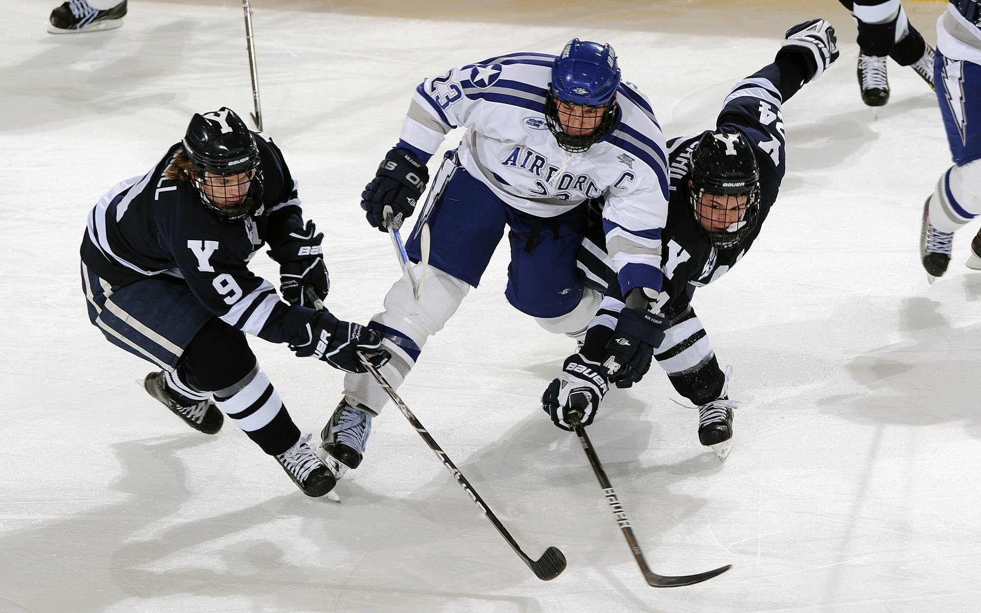 主办方与城市协商赛事周边商业活动安排细则——打造精彩赛事，开启合作新篇章